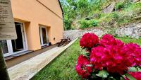 Remote Work Friendly Zahradní apartmán u jezera - B&B
