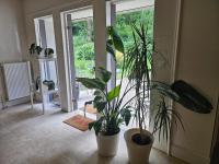 Kap Izella Chambres d'hôtes à 2 pas de la mer et à 10 minutes de Brest - Chambres d’hôtes Plougastel-Daoulas