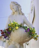 Emozioni Di Campagna - Chambres d'hôtes Palaia