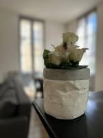 T3 lumineux - Vieux Bergerac - proche commerces - Chambres d’hôtes Bergerac