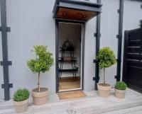 Apartment 6 - Haddin Court - Funky One Bedroom - B&B Blenheim