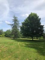 Maison confort à la campagne - B&B Marsaneix