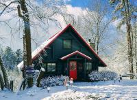 Bearless Whisper, a Beautiful Romantic Cabin Located Under a Mile from Soaky Mountain Water Park!! - Chambres d'hôtes Sevierville