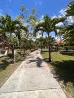 PH Las Palmas de Hato Viejo - B&B Río Hato