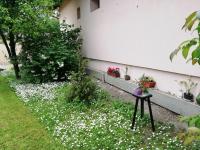 Marcsi Apartman - B&B Gyula