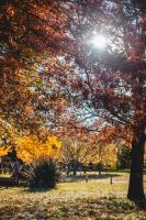 La Candelaria Casas de campo - B&B Tandil