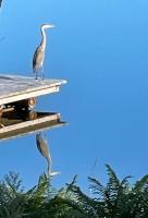 Lake Escape - Waterfront, Hot tub, Sleeps 14 - B&B Sainte-Cécile-de-Masham