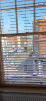 Herne Bay Central - 2 minutes from beach apartment - Ferienwohnung