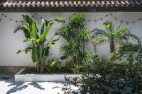 渔月撸猫客栈-大理古城店 - B&B Taihe