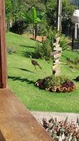 Canto dos Pirilampos - Pocinhos do Rio Verde - B&B