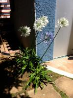 Villa Bianca, piscina e panorama - Chambres d’hôtes Torre delle Stelle