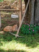 Art b&b Gli Aironi - B&B Pomposa