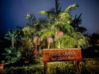 Adventurer's Escape HQ - B&B Harkerville