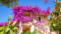 Casa Sinclair, air-con e giardino - B&B Cala Gonone