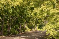 1日1組の宿　OTTABIO（オタービオ） - Chambres d’hôtes Hirosaki