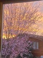 Squirrel Lodge Slps 4 - Close to York - Parking - Chambres d’hôtes Wilberfoss