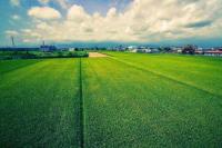 Yilan Greenbird of Happiness B&B - B&B