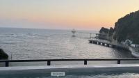 ONJUKU BEACH HOUSE - private villa 1 min walk to beach with sea view - Chambres d'hôtes Shinmachi