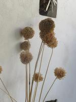 Chambre Lit King-Size - Vue sur Mer