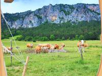 Glamping Hohe Wand - Kuppelzelt "Bergblick2 mit Sternenfenster - B&B Maiersdorf