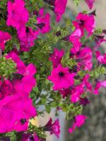 Grazioso monolocale - Ferienwohnung Mailand