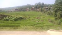 Puluong Aroma - B&B