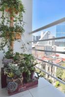 Elevador- Embajada USA a 3 cdras de Reforma - B&B Ciudad de México