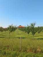 Villa Sladjana - Chambres d’hôtes Mladenovac