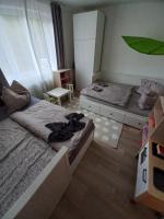 Zlatá Olešnice, pomezí Jizerek a Krkonoš - Ferienwohnung Zlatá Olešnice
