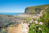 Bantry Cottage at Crackington Haven, near Bude and Boscastle, Cornwall - B&B Bude