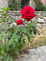 La casetta - Casa vacanze - B&B Montenero Val Cocchiara