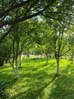 Villa La Familia - B&B Bihać