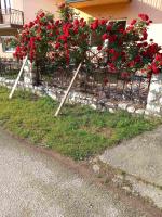 No name apartment - B&B Bajina Bašta