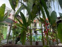 Hoi An Garden Villas - Bed and Breakfast Hoi An