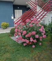 casa Guanita - Bed and Breakfast