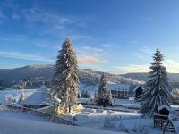 Pensiunea Mountain Pearl - B&B Deseşti