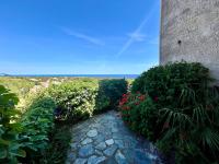 Joli studio vue mer avec terrasse et jardinet à Sant Ambroggio - B&B