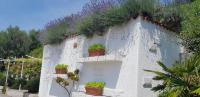 Apartments Milok - B&B