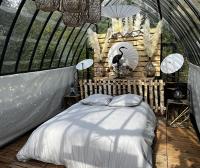 Queen Room with Garden View