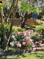 Gli Ulivi - B&B
