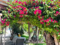 Casita Limón Andratx - Ferienwohnung Andratx