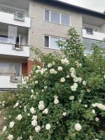 Studio korttelin päässä Olavinlinnasta - B&B