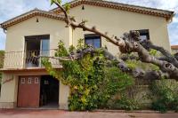 Spacious House With Garden In Downtown - B&B