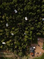 King Tent Sites - Hillside Upper Loop