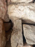 Antica Puglia - B&B Alberobello