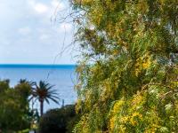 Appartamento Monolocale con Vista Mare