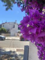 Casetta Marina Residence - B&B