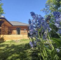 Pod lasem i niebem - B&B Lanckorona