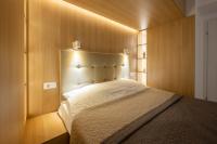 Penthouse & Terrace Apartment 1