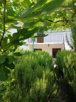 Etno House Mira - B&B